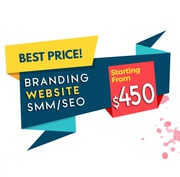 Get your own website designed at as low as $450 (Free Domain + Hosting